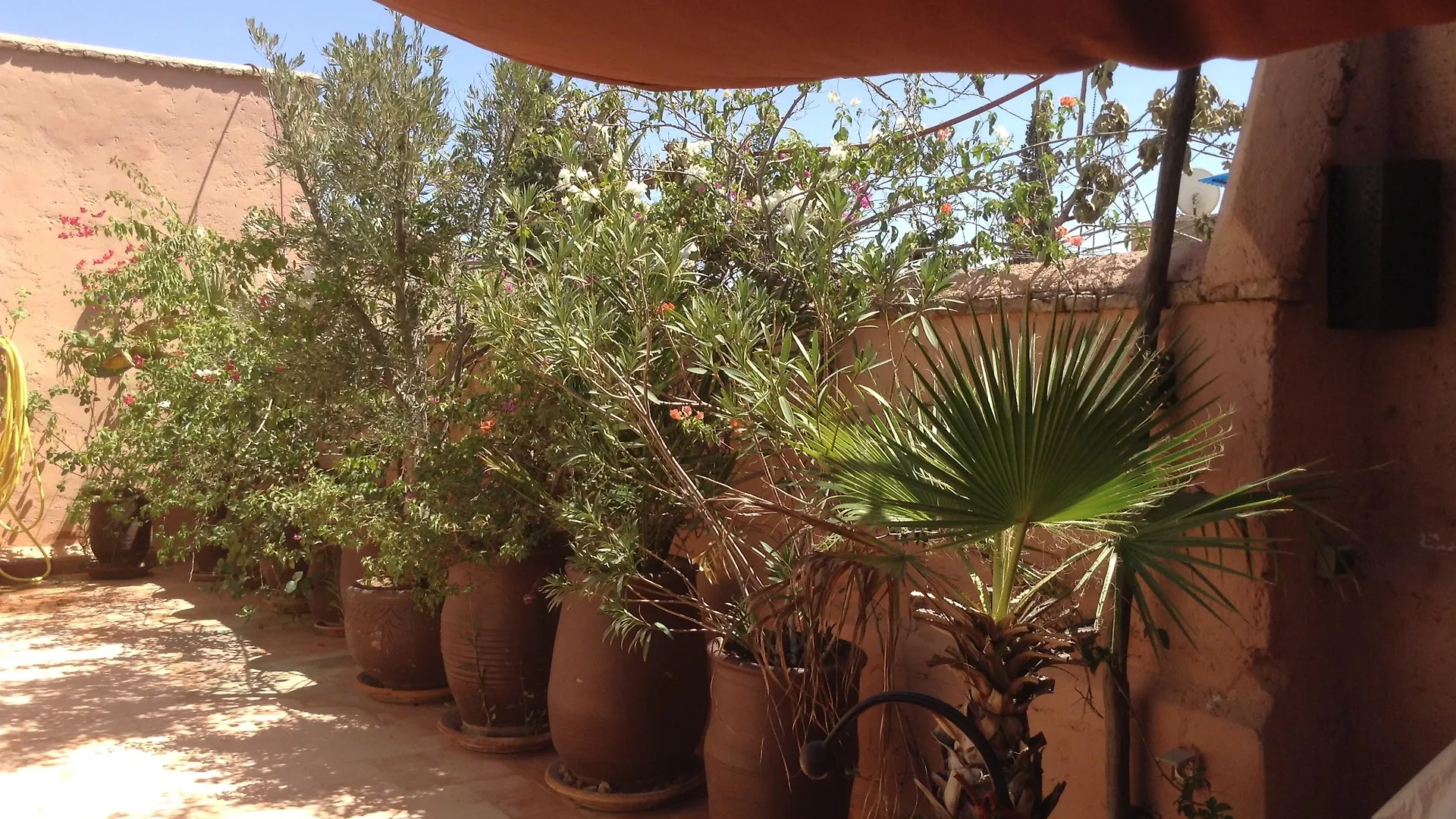 **** Riad Dar Zemrane Hotel Marrakesh Morocco
