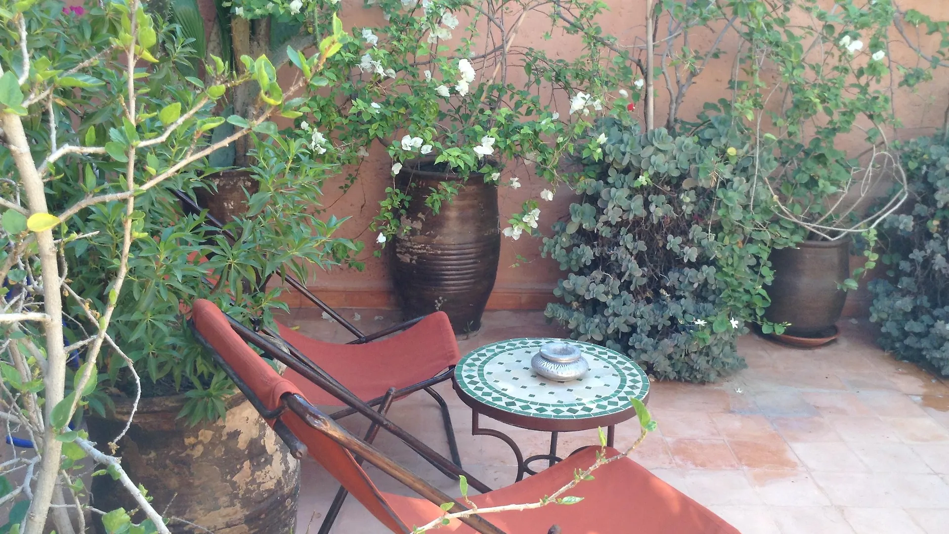 Dar Zemrane Hotel Marrakesh Riad